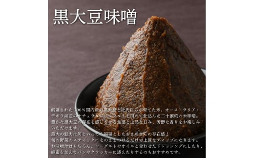 【ねさし味噌 + 黒大豆味噌 】 組み合わせ が 選べる 生味噌 2個 セット 味噌 詰め合わせ 蔵ノメグミ 味噌汁 大豆 黒大豆 国産 丸大豆 味噌漬け 調味料 ディップ 特産 徳島県 阿波市 四国 三浦醸造所