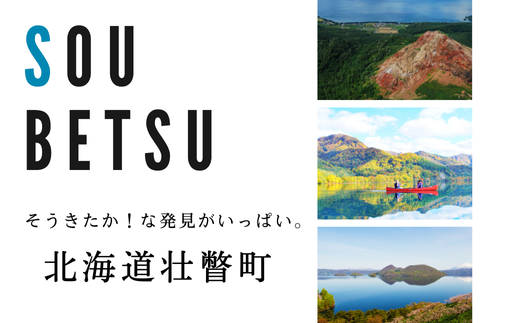 【新米】【令和6年産米】【3ヶ月定期配送】（無洗米300g）ホクレンゆめぴりか 【 ふるさと納税 人気 おすすめ ランキング 北海道産 米 こめ 無洗米 白米 コメ ご飯 ごはん ゆめぴりか 300g 定期便 北海道 壮瞥町 送料無料 】 SBTD149