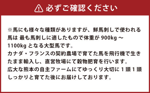 鮮馬刺し ロース 約400g タレ付き 馬刺 馬刺し 馬肉ロースブロック