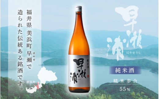 【早瀬浦】純米酒 1800ml × 3本【日本酒 地酒 福井 美浜 早瀬 フルーティ 男酒 硬水 ミネラル 希少 ご褒美 家飲み】[m16-c010]