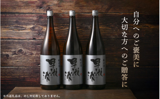 【早瀬浦】純米酒 1800ml × 3本【日本酒 地酒 福井 美浜 早瀬 フルーティ 男酒 硬水 ミネラル 希少 ご褒美 家飲み】[m16-c010]