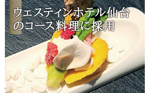 産地直送 朝採れ山菜 タラの芽 250g 山菜 天ぷら 天婦羅 パスタ 炒め物 お浸し 美味しい ご当地 取り寄せ 旬 料理 調理 ごはん 人気 おすすめ グルメ 食品 宮城