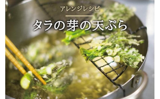 産地直送 朝採れ山菜 タラの芽 250g 山菜 天ぷら 天婦羅 パスタ 炒め物 お浸し 美味しい ご当地 取り寄せ 旬 料理 調理 ごはん 人気 おすすめ グルメ 食品 宮城