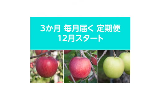 ＜発送月固定定期便＞〈2024年12月より順次発送〉甘味系・青森県産りんご約5kg 全3回【4051696】