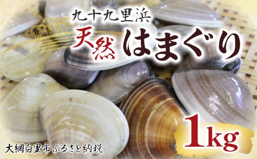 九十九里浜　天然はまぐり　1kg【厳選】 ふるさと納税 はまぐり ハマグリ 蛤 天然 九十九里産 国産 ひな祭り 節句 おせち 千葉県 大網白里市  送料無料 P001