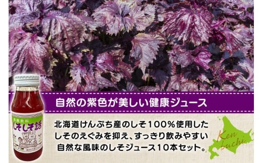 しそジュース しそしそ話 180ml×10本 計1.8L [レークサイド桜岡 北海道 剣淵町 14656352] しそ 紫蘇 シソ しそジュース ジュース
