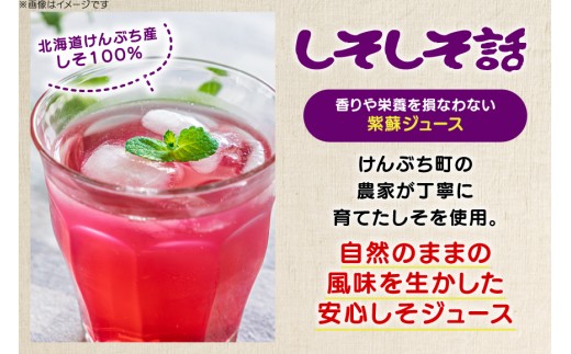 しそジュース しそしそ話 180ml×10本 計1.8L [レークサイド桜岡 北海道 剣淵町 14656352] しそ 紫蘇 シソ しそジュース ジュース