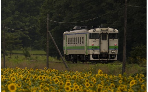 【札沼線浦臼町内５駅】駅名標キーホルダー＆駅名標マグネットセット【晩生内・札的・浦臼・鶴沼・於札内】