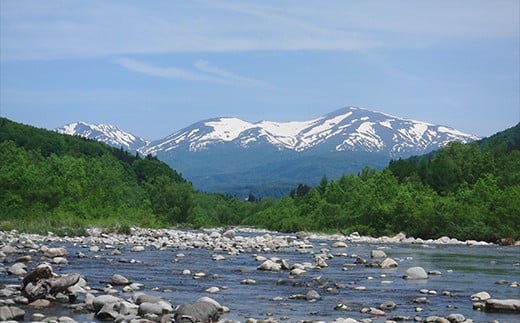 【山形の極み】月光の水 ～月山自然水～ 2L×24本 F2Y-5343