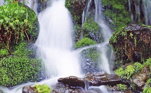 【山形の極み】月光の水 ～月山自然水～ 2L×24本 F2Y-5343