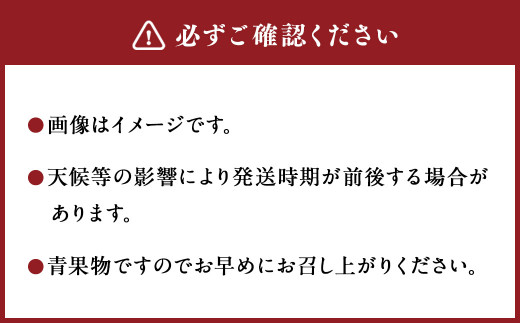 ＜宮崎県産完熟マンゴー L×3玉(約900g)＞