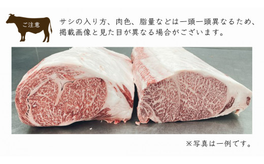 常陸牛 A5 等級 サーロイン ブロック 10kg ( 茨城県共通返礼品 ) 黒毛和牛 国産 業務用 大量 ブロック肉 塊 お肉 肉 A5ランク ブランド牛 牛肉 ひたち牛 ブランド和牛 ステーキ用