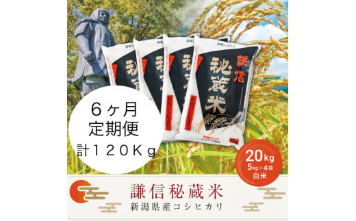 定期便6ヶ月連続発送（20kg×6回分）20kg 米 新潟県産 コシヒカリ  精白米 謙信秘蔵米  お米  こめ コメ おこめ おすすめ こしひかり 新潟 にいがた 新潟米 上越 上越産 上越米 ふるさと納税 定期便 人気