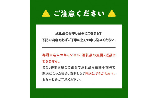 【先行予約】もぎたて 生プルーン 1.6kg(北海道余市町産)