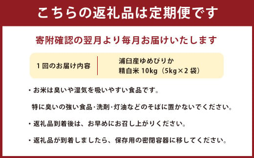 【10回定期便】浦臼産ゆめぴりか精白米10kg（5kg×2袋）