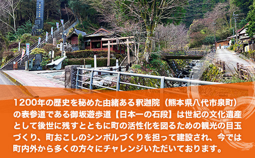 【ふるさと納税】日本一の石段 御芳名 木札 3万円 文化遺産 釈迦院御坂遊歩道 3333段 熊本 美里町 日本一