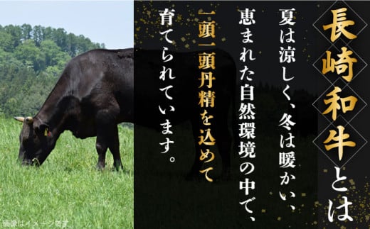 長崎和牛 ローストビーフ 用 ブロック 計1kg （約500g×2）【黒牛】 [QBD017] 焼肉 モモ モモブロック モモ肉