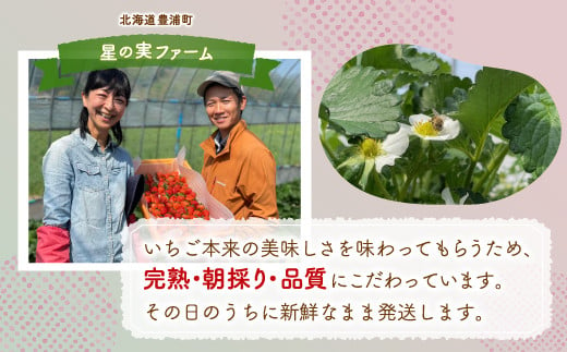 【2025.5月以降順次出荷】北海道 豊浦 いちご 小玉 けんたろう 250g×4パック1箱 約1kg【 ふるさと納税 人気 おすすめ ランキング 果物 いちごイチゴ 苺 けんたろう パック おいしい 美味しい 農園直送 採れたて 新鮮 産直 苺 ストロベリー  北海道 豊浦町 送料無料 】 TYUW001