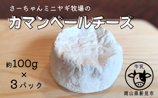 白カビチーズの代表格ともいえる、カマンベールチーズ。約100g×3パックをお届け