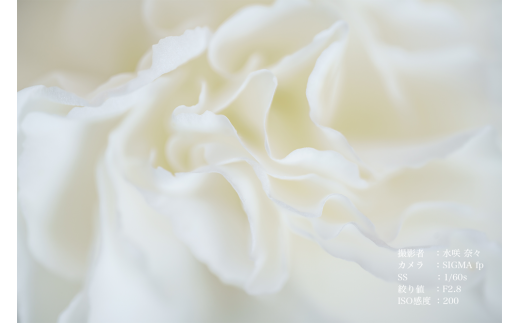 【ソニーEマウント用】SIGMA 105mm F2.8 DG DN MACRO｜Art