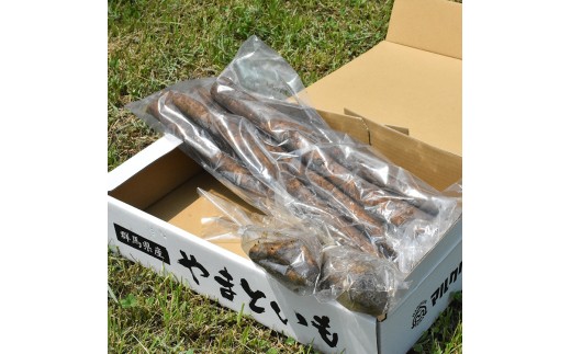 沖縄やんばる産ヘゴ板詰め合わせセット（大中小） 沖縄やんばる産ヘゴ板詰め合わせセット（大中小）