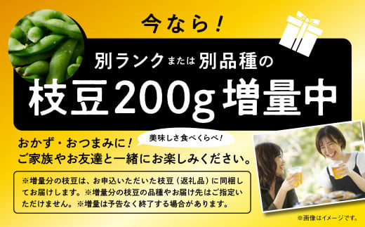 【令和6年産】枝豆 3kg 個包装 （A品）