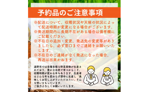 自然農法 遠野 もぐもぐ 夏 野菜 セット Ｓ サイズ 【 2.0kg 以上保証】 栽培期間中 農薬不使用 農家 朝採り 直送 遠野もぐもぐカントリー