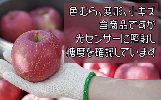 【11月下旬発送】 家庭用濃厚サンふじ約5kg　糖度13度以上【訳あり】青森津軽りんご