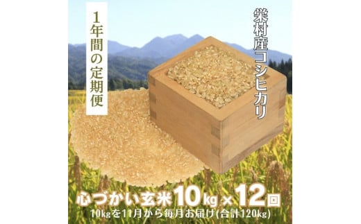 【定期便・1年間玄米発送】栄村産コシヒカリ最高評価特Ａ米「心づかい」10kg×12回 (令和6年産)