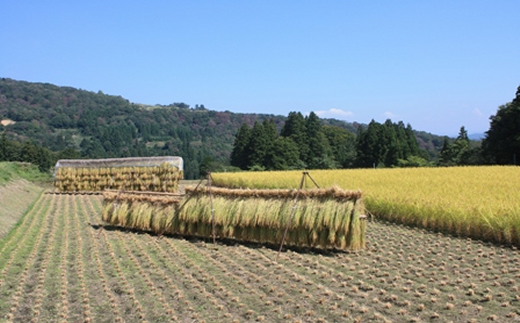 【定期便・1年間玄米発送】栄村産コシヒカリ最高評価特Ａ米「心づかい」10kg×12回 (令和6年産)