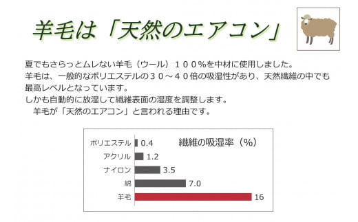 【寝具の井上】羊毛100％ピュアウール枕（Sサイズ）