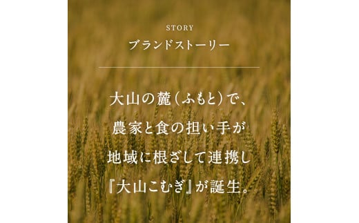 【dk02】鳥取県南部町産 大山こむぎ2kg 全粒粉　小麦 こむぎ 国産小麦 石臼挽き 福成農園