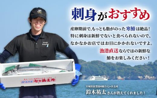 《 期間限定 / 数量限定 》七ヶ浜産 サワラ 鰆 1尾 ( 2〜3kg ) 《10月〜11月発送》｜ 宮城県 七ヶ浜町 漁協 漁師 七ヶ浜 さわら 刺身 西京焼き ムニエル 和食 焼き魚 国産 天然 新鮮 ｜jf-sw01-R6