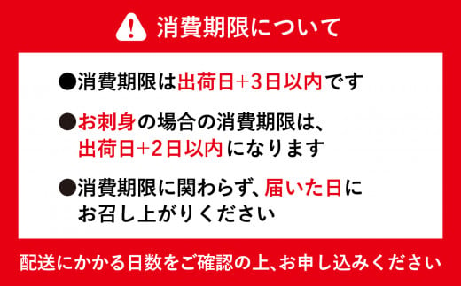 《 期間限定 / 数量限定 》七ヶ浜産 サワラ 鰆 1尾 ( 2〜3kg ) 《10月〜11月発送》｜ 宮城県 七ヶ浜町 漁協 漁師 七ヶ浜 さわら 刺身 西京焼き ムニエル 和食 焼き魚 国産 天然 新鮮 ｜jf-sw01-R6