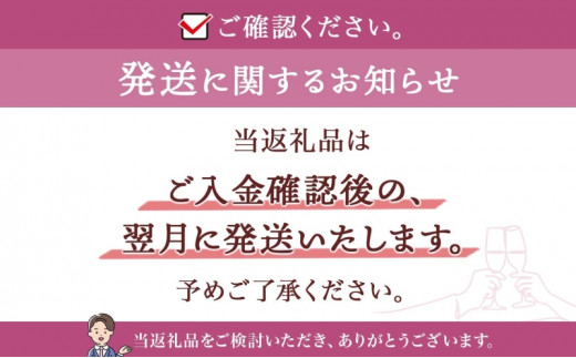 【北海道産ワイン】 限定スパークリングワイン KP”Beginning" 750ml×1本 仁木町産ナイアガラ100%使用 ワイン 白 辛口 スパークリング