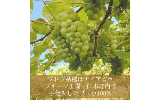 【北海道産ワイン】 限定スパークリングワイン KP”Beginning" 750ml×1本 仁木町産ナイアガラ100%使用 ワイン 白 辛口 スパークリング