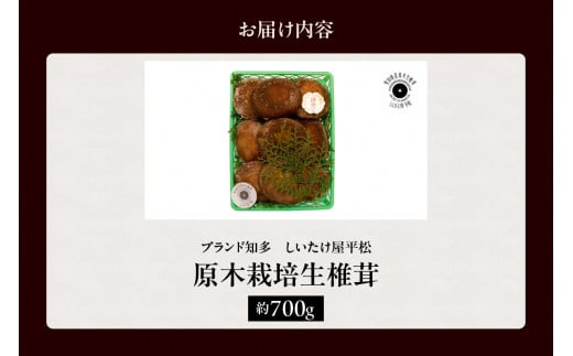 愛知県知多市産原木生椎茸 ／ しいたけ シイタケ 肉厚 希少 愛知県 特産品