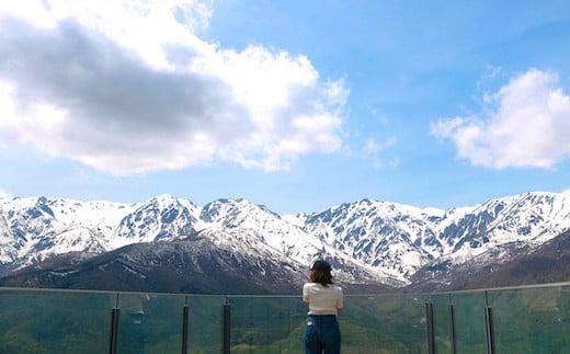 白馬岩岳マウンテンリゾート ゴンドラリフト往復乗車券 大人2名ペアチケット/長野県白馬村　マウンテンリゾート　アクティビティ　アウトドア　ブランコ　マウンテンハーバー　絶景の北アルプス　犬連れ【L0200284】