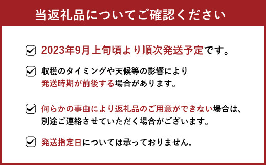 秋月 約10kg 梨 (16～26玉)