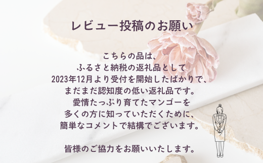 ≪2025年発送≫ 護佐丸マンゴー【訳あり】3～6個入り（約1.2kg）