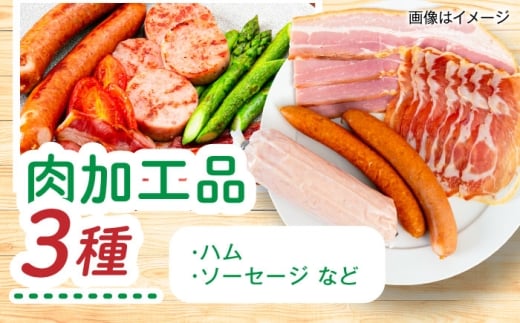 【全3回定期便】糸島産 肉 米 野菜 果物 厳選詰め合わせ MINORI BOX Lサイズ 糸島市 / emma.Inc / 米 肉 野菜 果物 詰め合わせ [AOP016]
