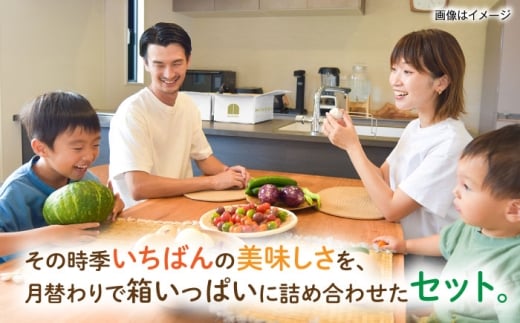 【全3回定期便】糸島産 肉 米 野菜 果物 厳選詰め合わせ MINORI BOX Lサイズ 糸島市 / emma.Inc / 米 肉 野菜 果物 詰め合わせ [AOP016]