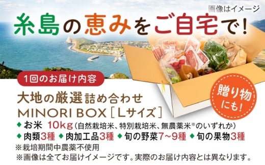 【全3回定期便】糸島産 肉 米 野菜 果物 厳選詰め合わせ MINORI BOX Lサイズ 糸島市 / emma.Inc / 米 肉 野菜 果物 詰め合わせ [AOP016]