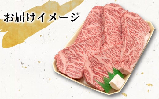 最高5等級 飛騨牛 厚切りロースステーキ 1.5kg 300g×5枚 牛肉 和牛 肉 ロース ステーキ 東白川村 岐阜 贅沢 霜降り A5 5等級 厚切り 大容量 養老ミート 100000円