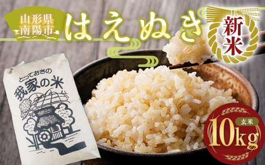 【令和6年産 新米 先行予約】 はえぬき (玄米) 10kg 《令和6年10月上旬～発送》 『田口農園』 山形南陽産 米 ご飯 農家直送 山形県 南陽市 [1290-R6]