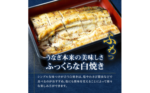 創業140年！老舗うなぎ屋のうなぎかば焼き100g×1、白焼き100g×1、くりから×5本、骨せんべい30g×2セット　A040-006