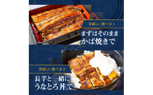 創業140年！老舗うなぎ屋のうなぎかば焼き100g×1、白焼き100g×1、くりから×5本、骨せんべい30g×2セット　A040-006