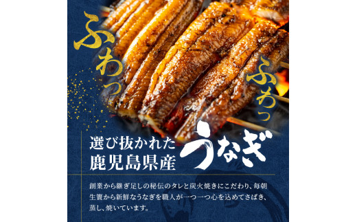 創業140年！老舗うなぎ屋のうなぎかば焼き100g×1、白焼き100g×1、くりから×5本、骨せんべい30g×2セット　A040-006