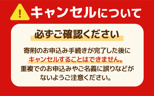 純国産　ミニ トートバッグ　ミント　帆布　BI001-4