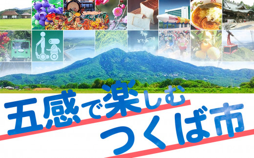 つくば市 筑波山麓産ワイン4本セット(白&赤 各2本) ビーズニーズヴィンヤーズ【 ワイン お酒 酒 果実酒 ブドウ 白ワイン 赤ワイン 日本ワイン 国産ワイン ワイン専用ブドウ品種  国産 つくば市産 茨城県産 飲み物 飲料 セット 人気 おすすめ 茨城県 つくば市 】